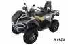 Квадроцикл STELS ATV GUEPARD 1000 PE (TROPHY PRO) 2.0