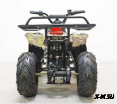 Квадроцикл GreenCamel Гоби K51 (36V 800W R7 Цепь) быстросъем, ножной тормоз