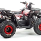 Квадроцикл PROMAX WILD 175
