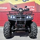 Квадроцикл PROMAX TRX300 CVT