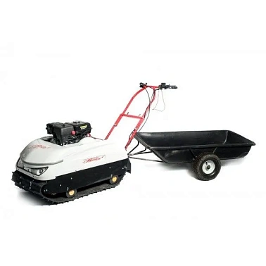 Мотобуксировщик Хортон HT9