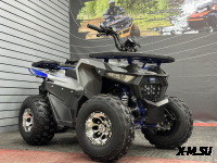 Квадроцикл GBM DAXTER 220 PREMIUM