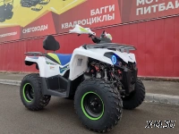Квадроцикл PROMAX RENEGADE 300 LUX