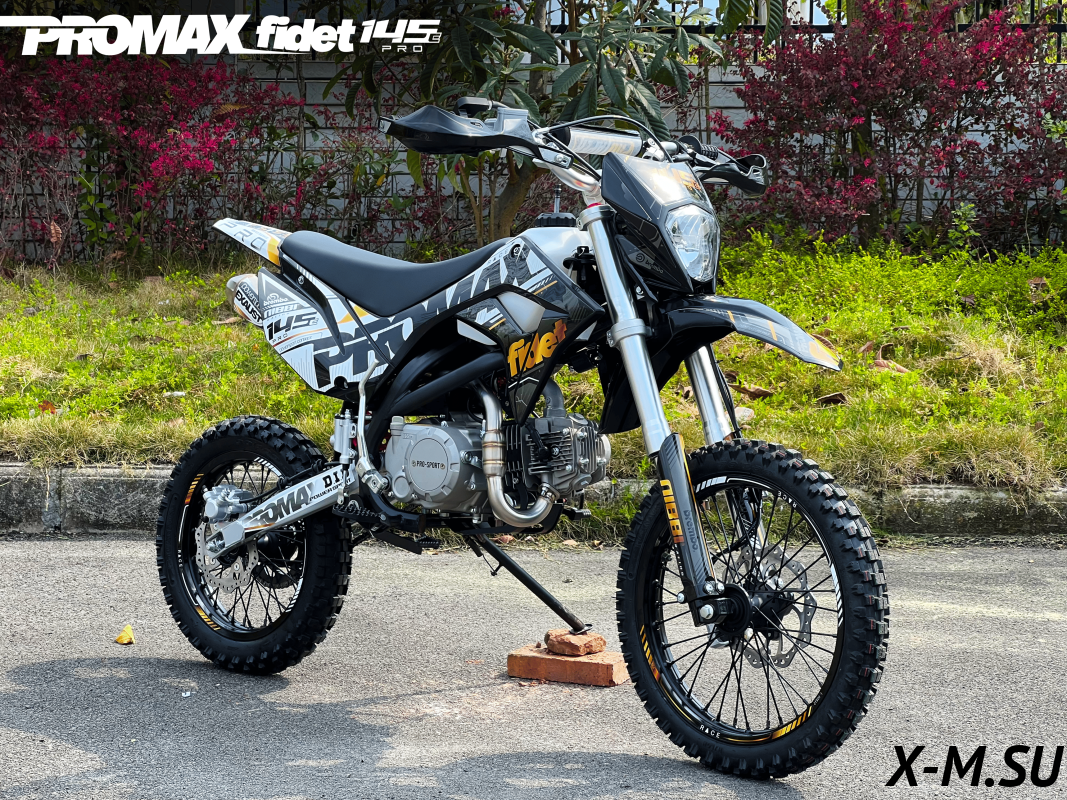 Мотоцикл (питбайк) PROMAX FIDET (ФАЙДЕТ) 145E PRO 14/12