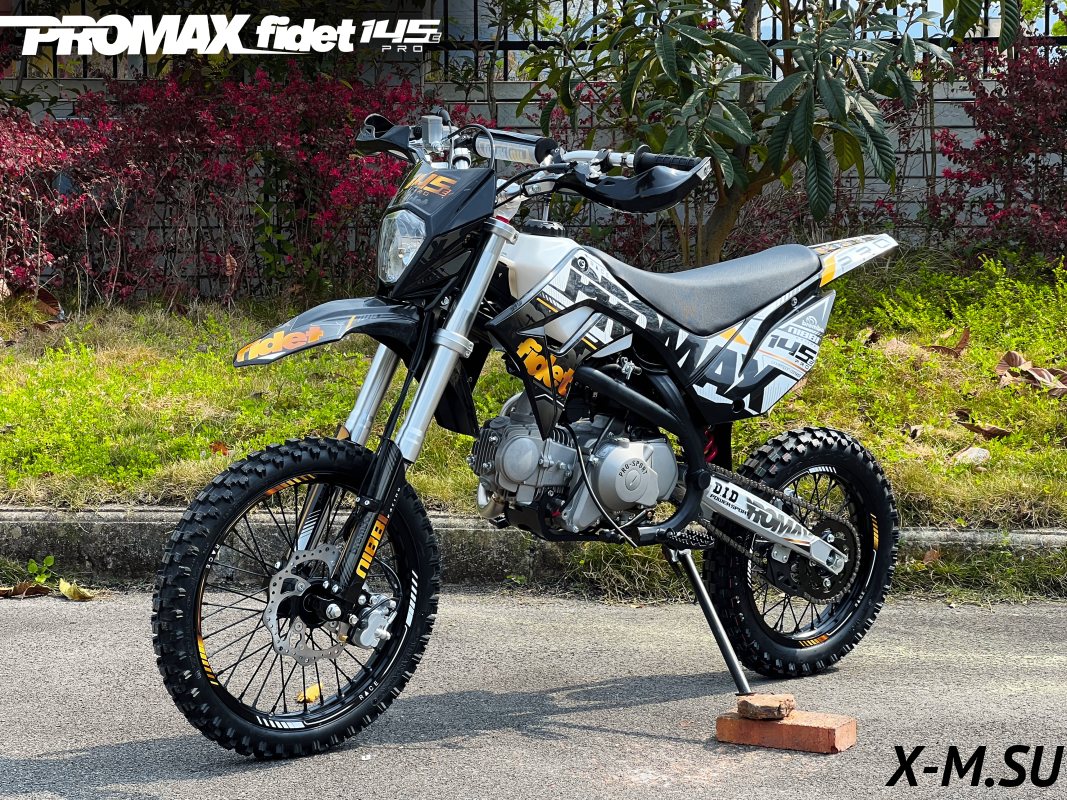 Мотоцикл (питбайк) PROMAX FIDET (ФАЙДЕТ) 145E PRO 14/12