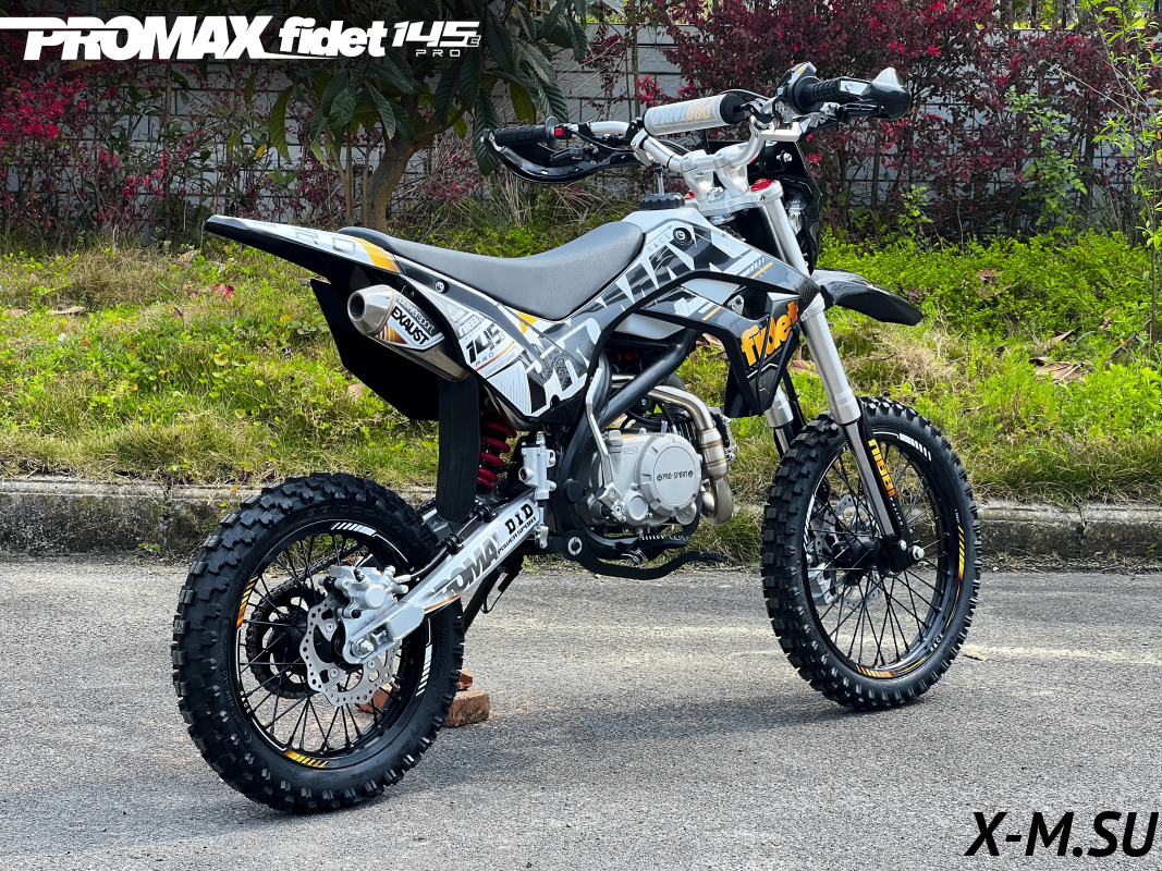 Мотоцикл (питбайк) PROMAX FIDET (ФАЙДЕТ) 145E PRO 14/12