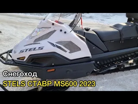 СНЕГОХОД STELS СТАВР MS600 2023