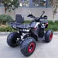 Квадроцикл GBM MAVERICK 300 NEW